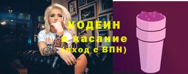 крисы Инсар