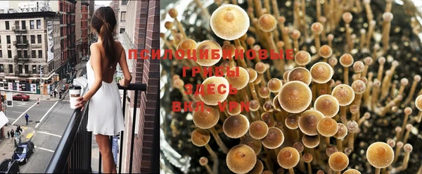 гашик Иннополис