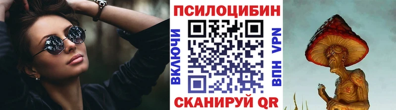 Псилоцибиновые грибы мицелий Пролетарск